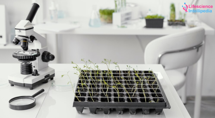 Plant Setup Services in the Life Sciences Industry in India