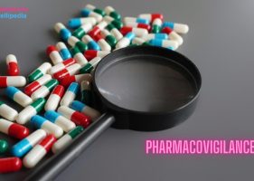 Pharmacovigilance (PV) Safety Databases